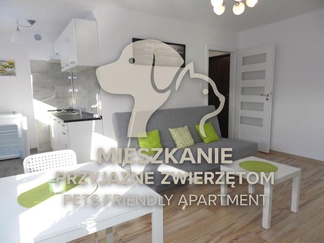 Mieszkanie do wynajęcia w Katowice, Śląskie