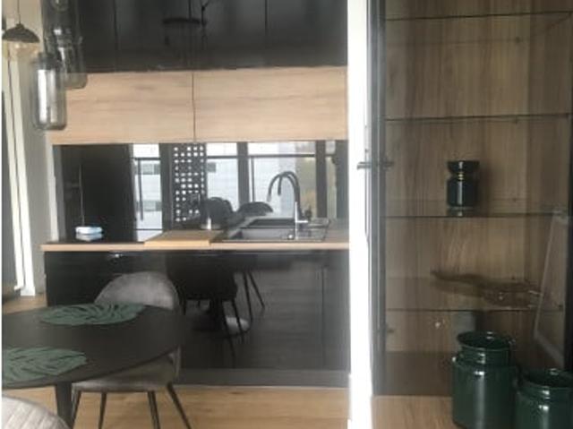 Mieszkanie do wynajęcia w Katowice, Śląskie