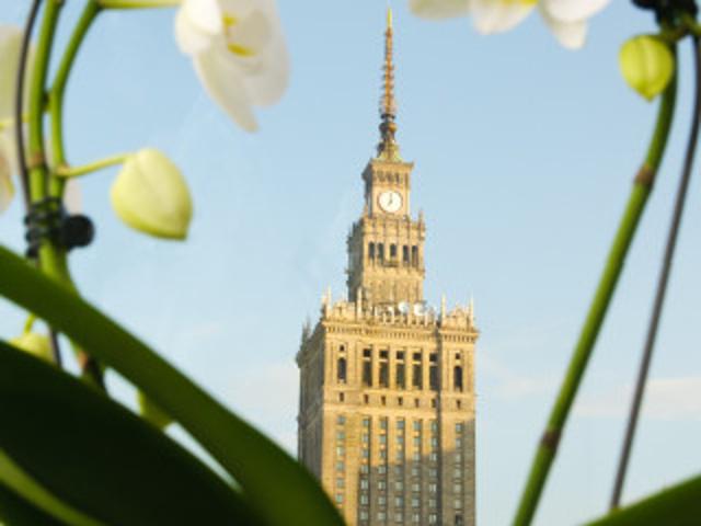 Mieszkanie do wynajęcia w Warszawa, Mazowieckie