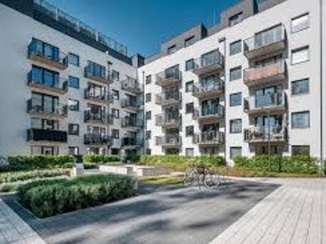 Mieszkanie do wynajęcia w Wrocław, Dolnośląskie