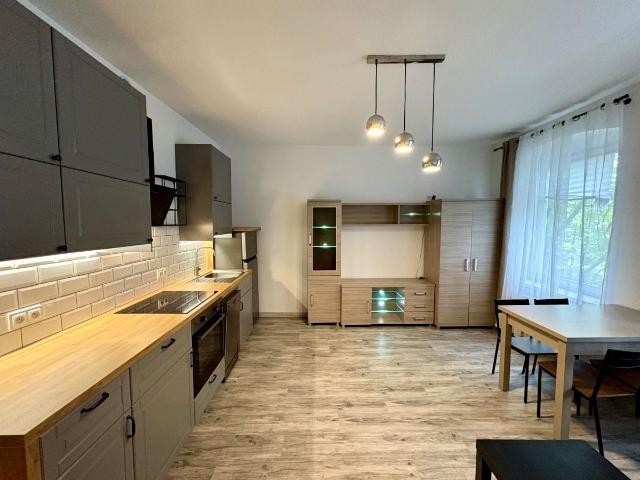 Mieszkanie do wynajęcia w Dębiec, Poznań