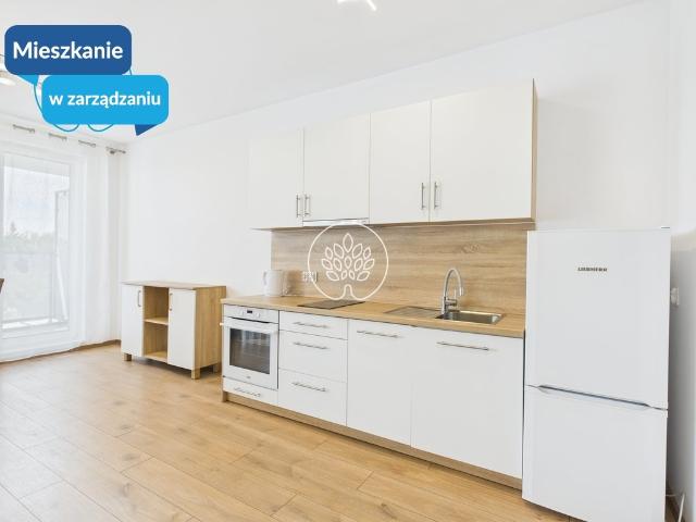 Mieszkanie do wynajęcia w Bydgoszcz, Kujawsko-pomorskie