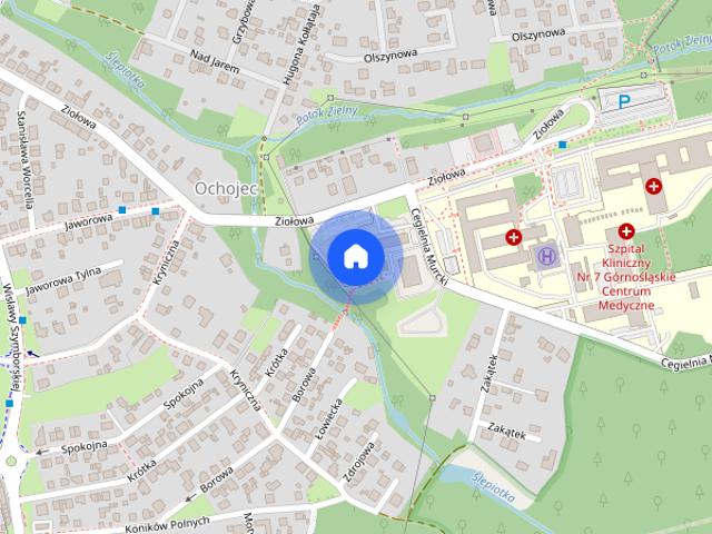 Mieszkanie do wynajęcia w Katowice, Śląskie
