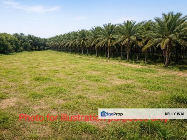 Shop for sale in Simpang Renggam, Kluang