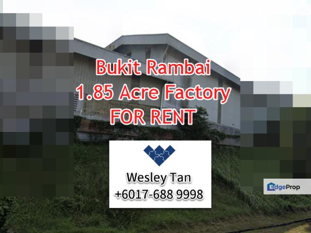 Warehouse for rent in Malaka
