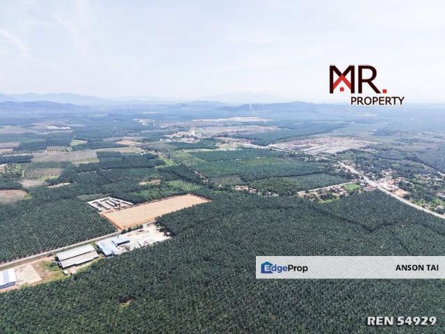 Warehouse for sale in Kuala Muda, Kedah