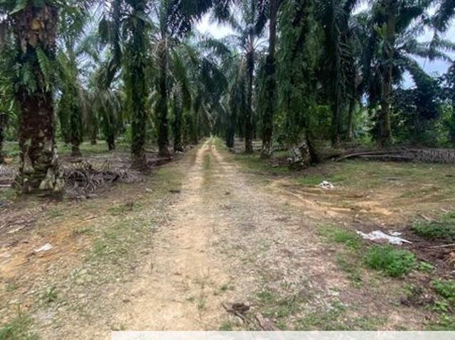 Warehouse for sale in Seelong, Johor