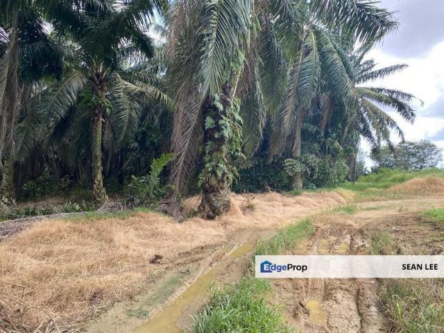 Warehouse for sale in Seelong, Johor