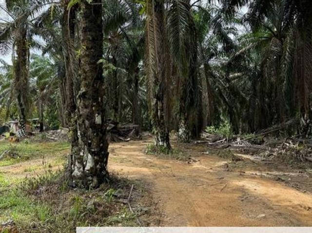 Warehouse for sale in Seelong, Johor