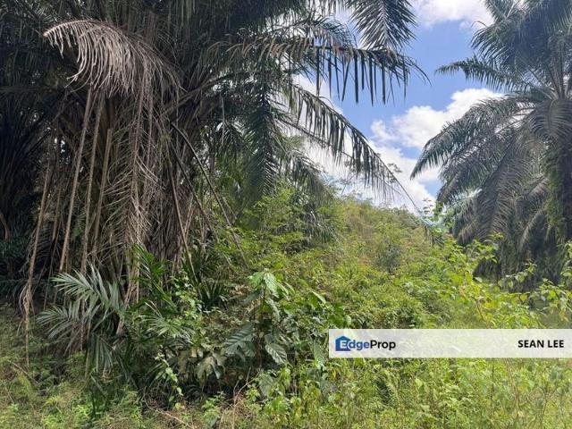 Warehouse for sale in Seelong, Johor