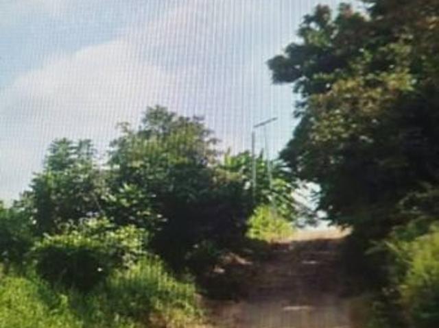 Warehouse for sale in Seelong, Johor