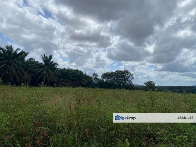 Warehouse for sale in Seelong, Johor
