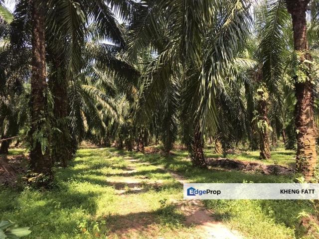 Warehouse for sale in Selangor