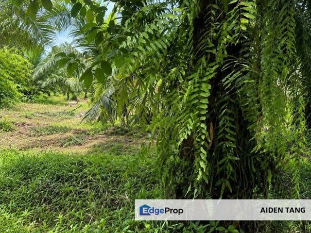 Shop for sale in Pontian, Johor