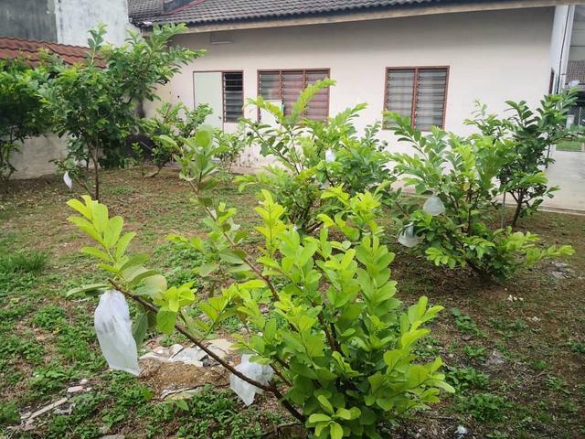 Residential House for sale in Malaka