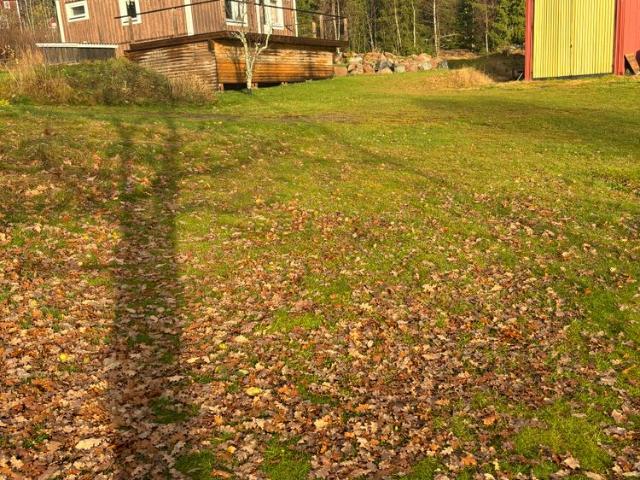 Stuga hyra i Docksta, Västernorrland