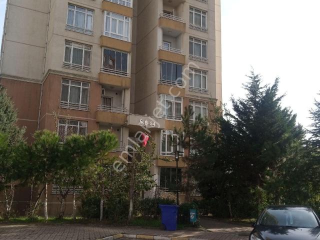 Başakşehir, İstanbul içerisinde kiralık mülk