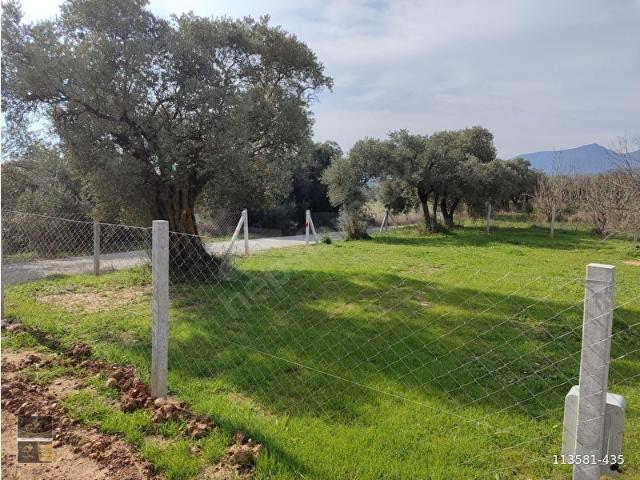 Torbali, İzmir içerisinde satılık mülk