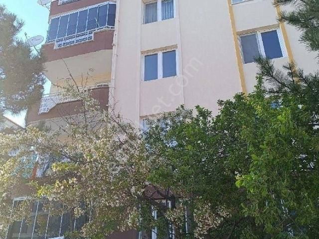 Merzifon, Amasya içerisinde kiralık mülk