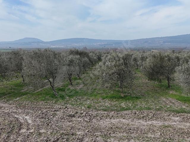 Kirkağaç, Manisa içerisinde satılık Arsa