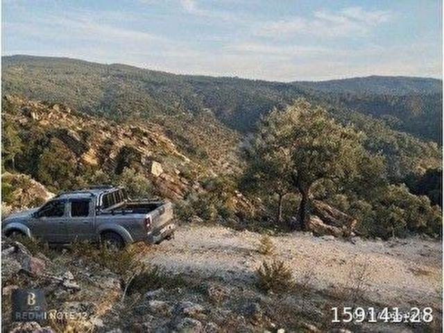Milas, Muğla içerisinde satılık mülk