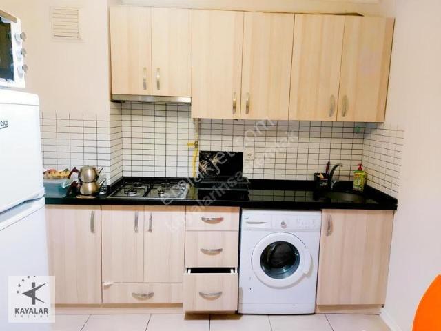 Yalova Merkez, Yalova içerisinde kiralık mülk