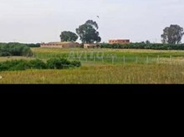 Maison vente à Sidi Bettach, Gharb-Chrarda-Beni Hssen