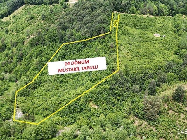 Kaynaşli, Düzce içerisinde satılık mülk