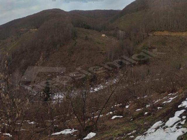 Kaynaşli, Düzce içerisinde satılık mülk