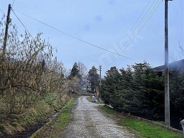 Sarıçökek, Kaynaşlı içerisinde satılık Arsa