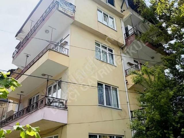 Bartın Merkez, Bartin içerisinde satılık mülk