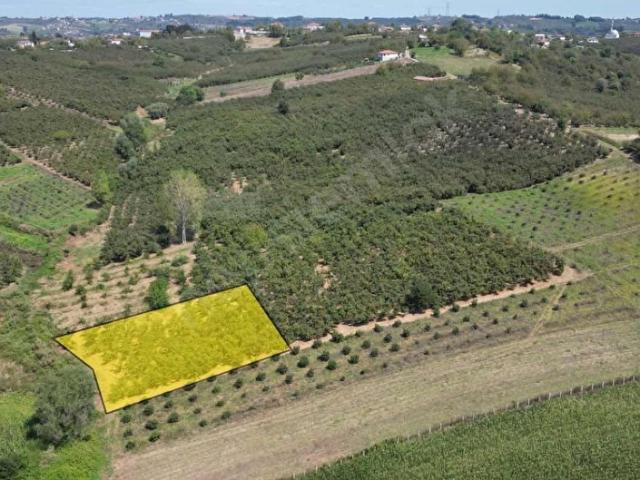 Ferizli, Sakarya içerisinde satılık Arsa