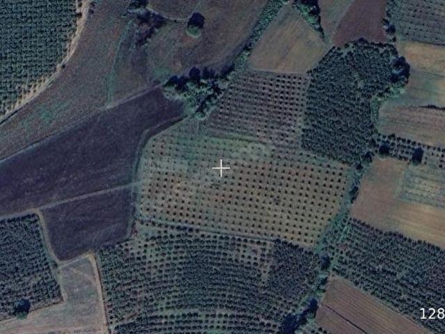 Kaynarca, Sakarya içerisinde satılık Arsa