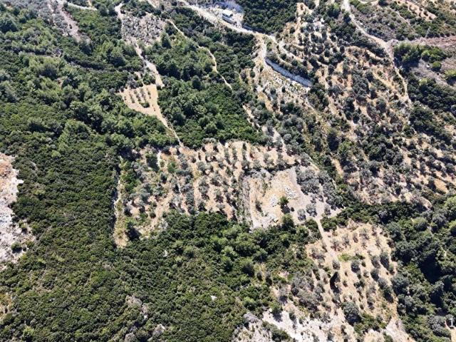 İnecik Mahallesi, Karaburun içerisinde satılık Arsa