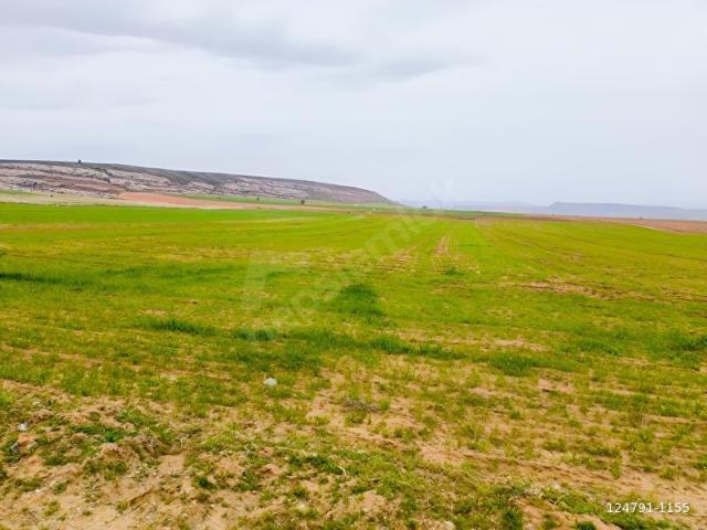 Melikgazi, Kayseri içerisinde satılık Arsa
