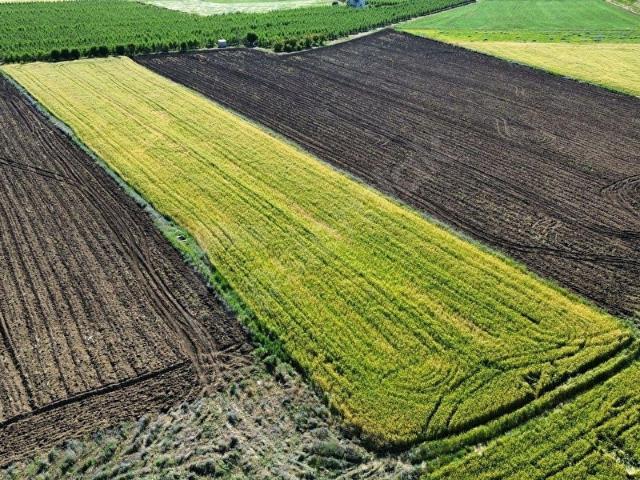 Susuzca Sırtı, Yahyalı içerisinde satılık Arsa