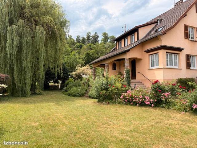 Maison vente à Colmar-Ribeauvillé, Grand Est