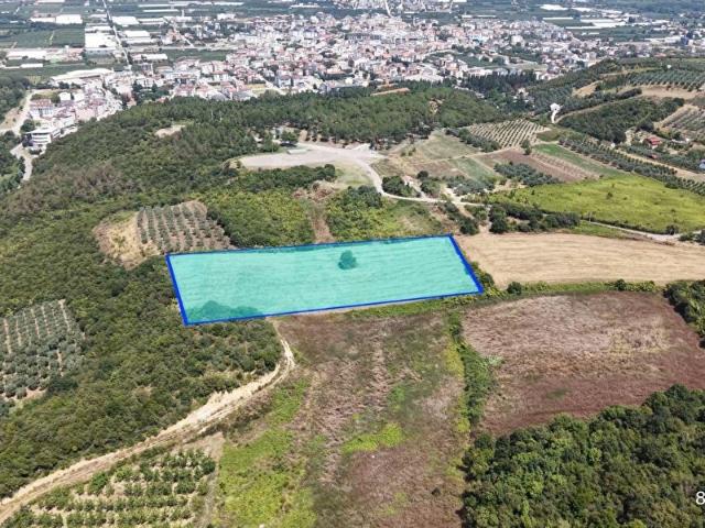 Yalova içerisinde satılık Arsa