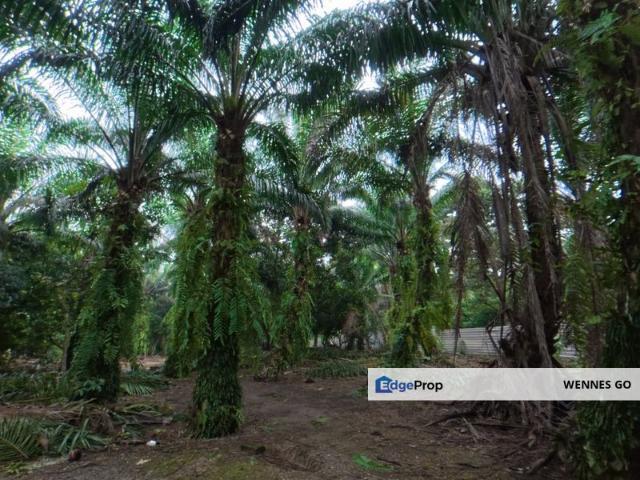 Shop for sale in Pontian, Johor