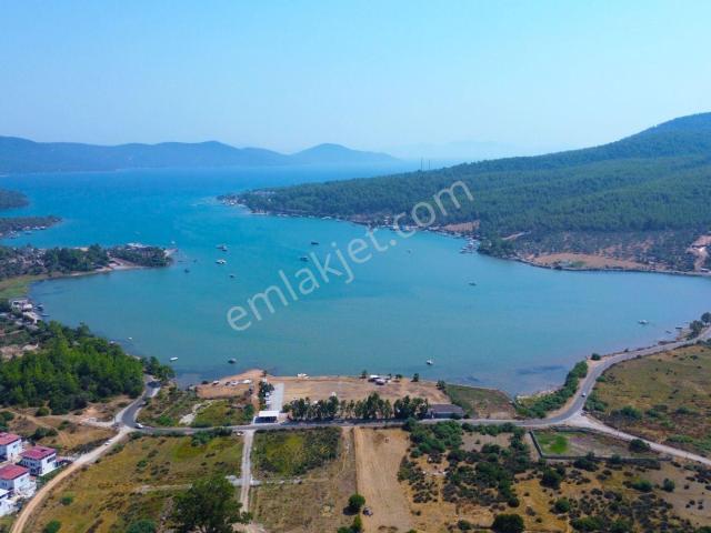 Milas, Muğla içerisinde satılık Villa
