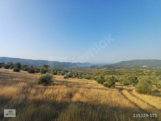 Milas, Muğla içerisinde satılık mülk