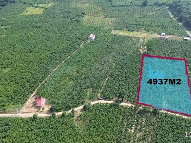 Hendek, Sakarya içerisinde satılık Arsa