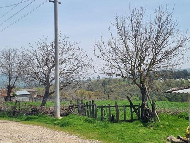 Dondurma, Çan içerisinde satılık Arsa