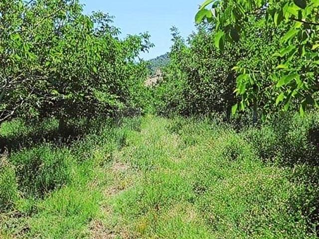 Bayramiç, Çanakkale içerisinde satılık Arsa