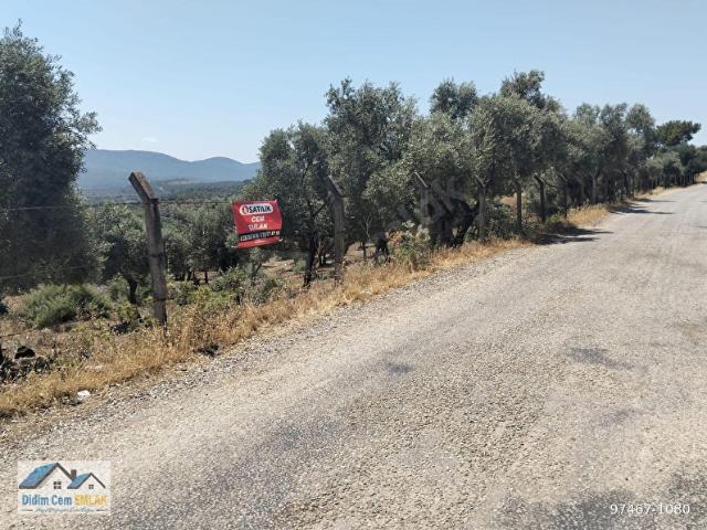 Milas, Muğla içerisinde satılık Arsa