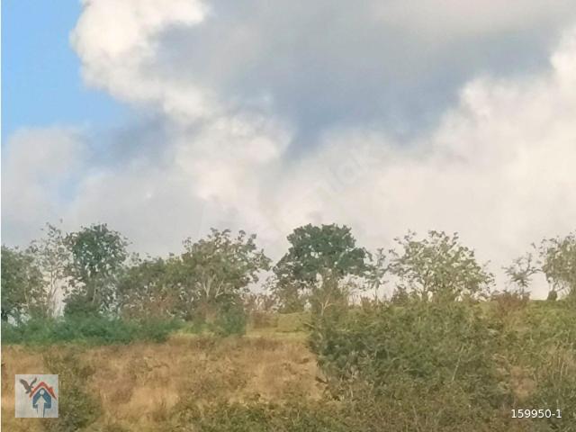 Çamlıbel, Ereğli içerisinde satılık Arsa