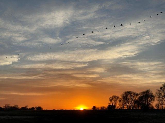 Land for sale in Nebraska