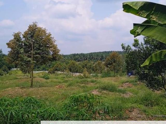 Shop for sale in Segamat, Johor
