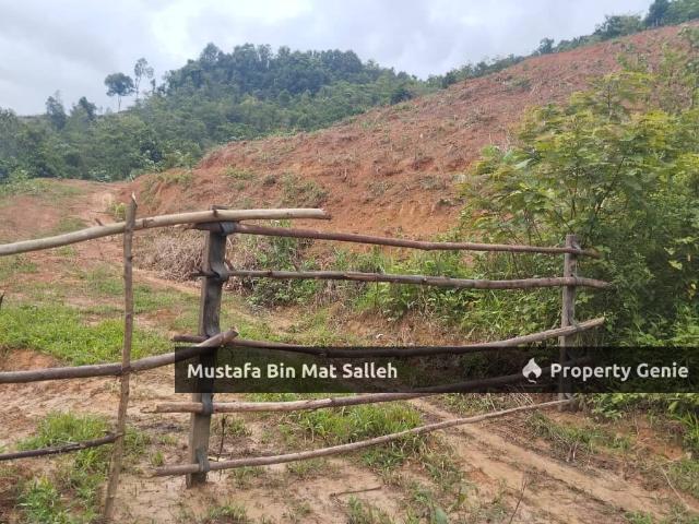 Property for sale in Kampong Menerong, Pokok Sena
