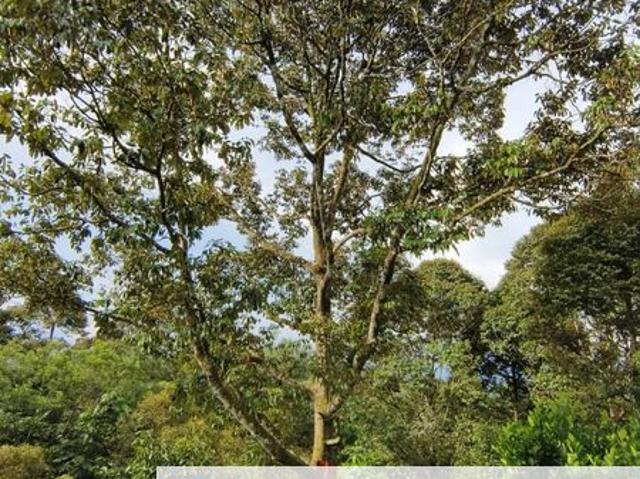 Shop for sale in Kajang, Langat